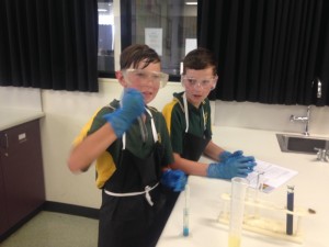 yr 5 Science 5